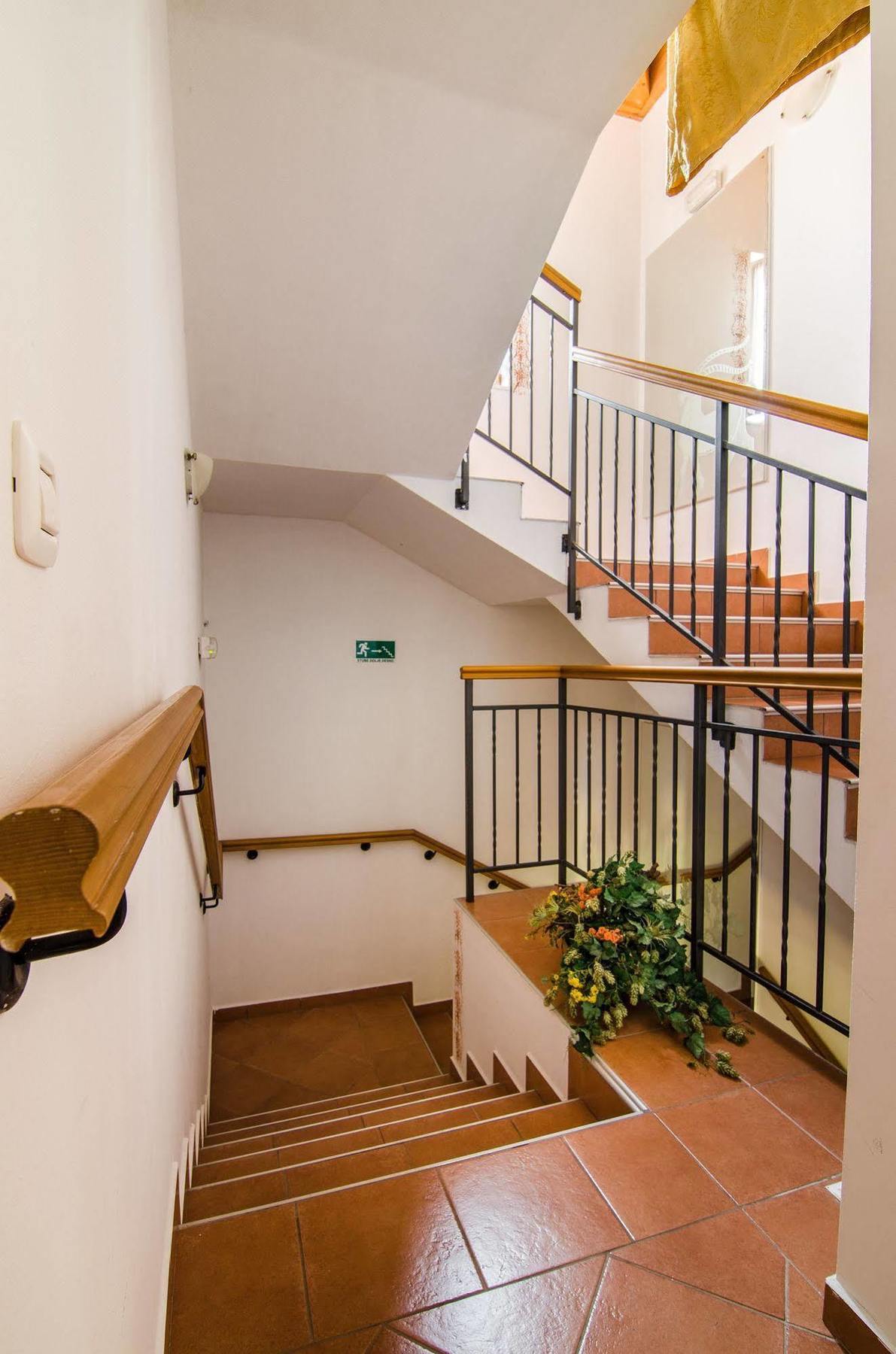 Villa Calussovo Ripenda Kras Extérieur photo